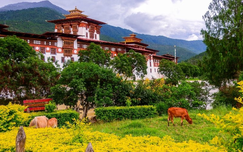Scenic mountains and monasteries in Bhutan, a hidden gem for budget travelers seeking adventure and culture