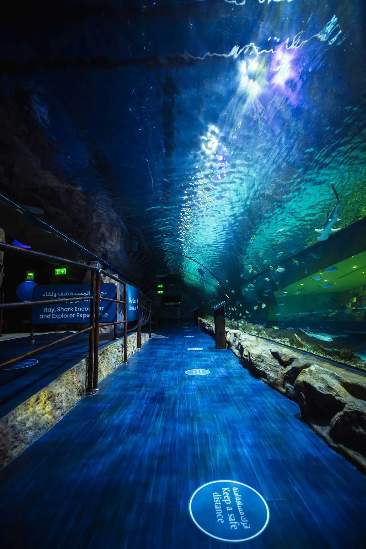 Dubai Aquarium and Underwater Zoo