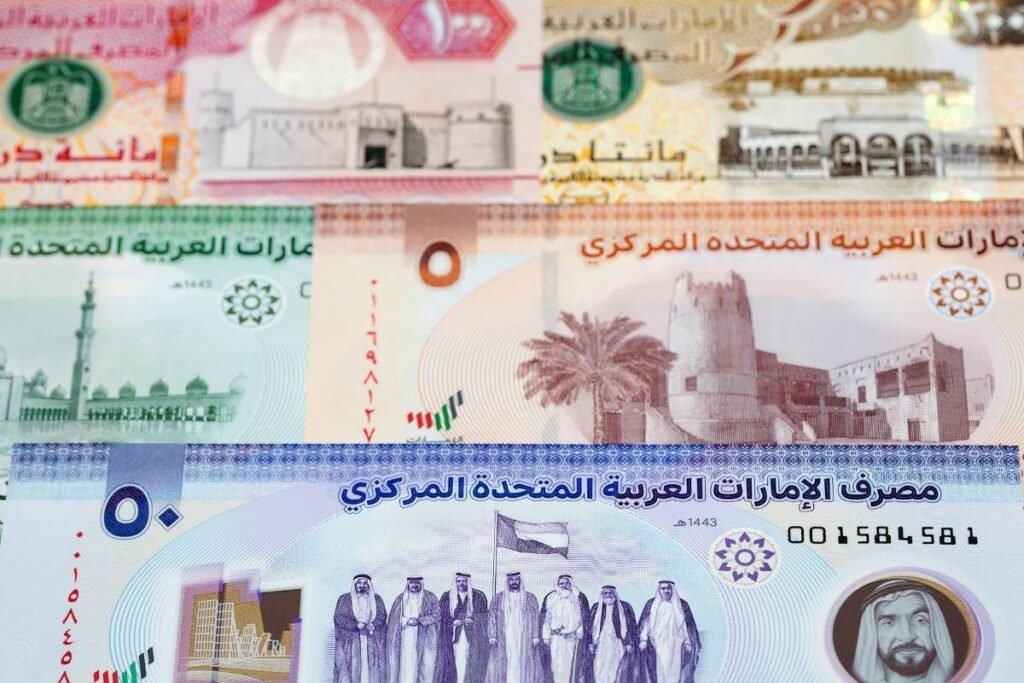 a photo of UAE Dirham (AED)